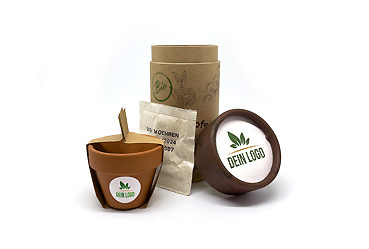 Haushalt - „Pflanz mich“-Starterset Goy Werbemittel-Agentur - Haushalt - „Pflanz mich“-Starterset