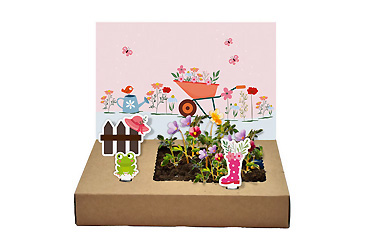 Streuartikel - Mini-Garten Blütenpracht Goy Werbemittel-Agentur - Streuartikel - Mini-Garten Blütenpracht