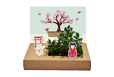 Streuartikel - Mini-Garten Bonsai Goy Werbemittel-Agentur - Streuartikel - Mini-Garten Bonsai