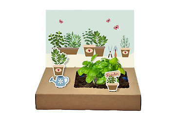 Streuartikel - Mini-Garten Küchenkräuter Goy Werbemittel-Agentur - Streuartikel - Mini-Garten Küchenkräuter