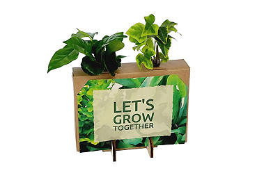 Streuartikel - Nature out of the Box - Mini Goy Werbemittel-Agentur - Streuartikel - Nature out of the Box - Mini