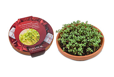 Streuartikel - Vitamin-Schale Goy Werbemittel-Agentur - Streuartikel - Vitamin-Schale