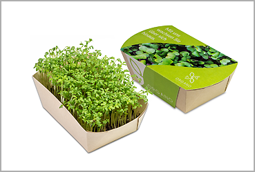 Goy Werbemittel-Agentur - Ostern - Microgreens-Gärtchen