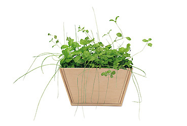 Haushalt - Mini-Beet Goy Werbemittel-Agentur - Haushalt - Mini-Beet