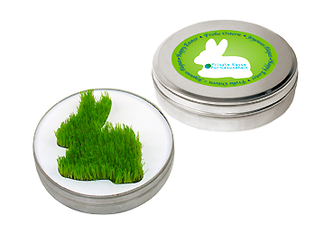 Goy Werbemittel-Agentur - ostern - Wachsender Hase