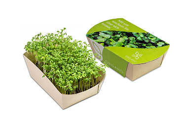 Goy Werbemittel-Agentur - ostern - Microgreens-Gärtchen