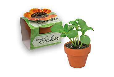 Goy Werbemittel-Agentur - ostern - Tontöpfchen-Blume