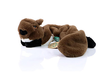 Sport und Spiel - Hundespielzeug RecycelBiber Goy Werbemittel-Agentur - Sport und Spiel - Hundespielzeug RecycelBiber