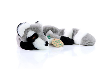 Sport und Spiel - Hundespielzeug RecycelWaschbär Goy Werbemittel-Agentur - Sport und Spiel - Hundespielzeug RecycelWaschbär