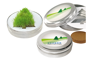 weihnachten - Wachsender Tannenbaum Goy Werbemittel-Agentur - weihnachten - Wachsender Tannenbaum